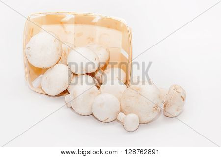Mushrooms in a basket isolated on white background