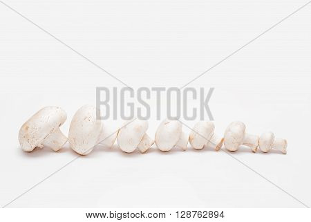 from large to small  mushrooms champignons isolated on white background