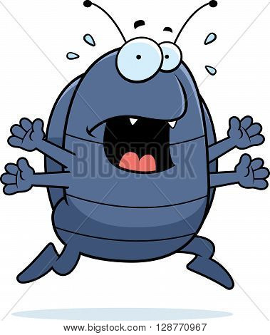 Pill Bug Panic