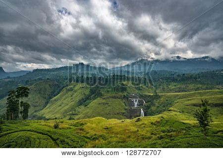 Tea Plantation In The Mountain Area In Nuwara Eliya, Sri Lanka