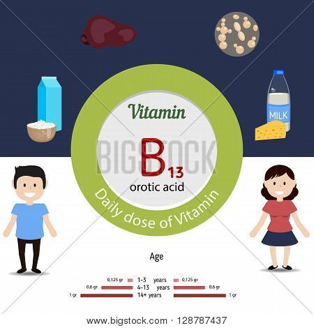 Vitamin B13 and vector set of vitamin B13 rich foods. Healthy lifestyle and diet concept. Daily dose of vitamin B13. Orotic acid.