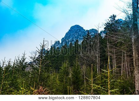 view of mountain with fog in southern bavaria