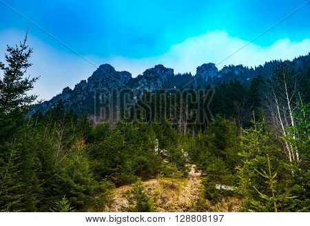 view of mountain with fog in southern bavaria