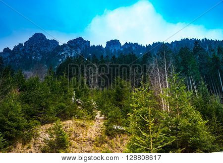 view of mountain with fog in southern bavaria