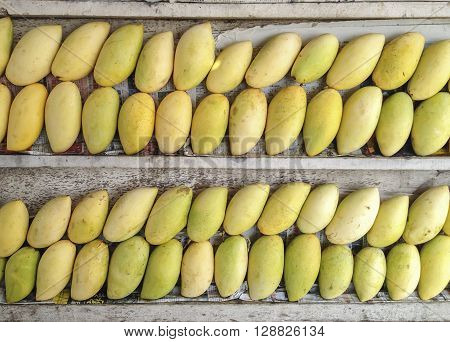 • Stacks of sweet aroma ripe yellow mangoes fruit on wooden stack