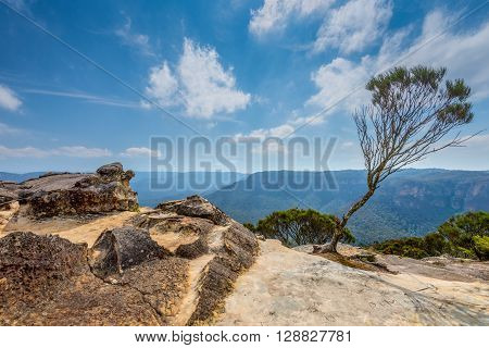 Rock near Wentworth Falls in the Blue Mountains New South Wales Australia