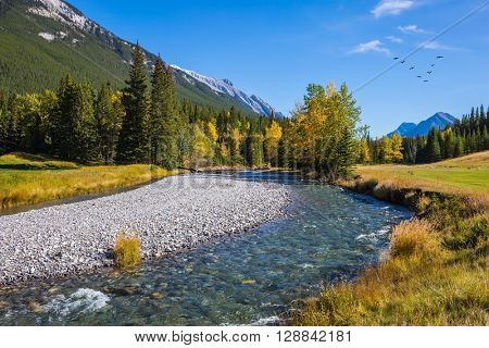  Beneaped autumn stream with a pebbly bottom. Magnificent  valley in Banff National Park