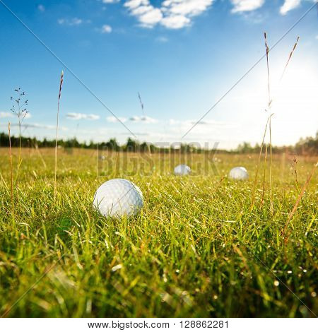 green field and white golf ball sport sanset