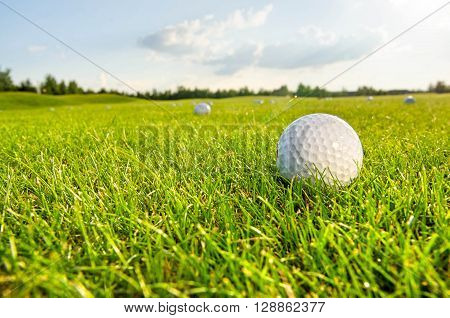 green field and white golf ball sport sanset