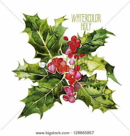 Watercolor vector cranberries isolated on white background