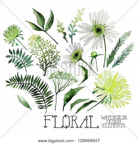 Huge watercolor green floral collection isolated on white background. Vector floral design