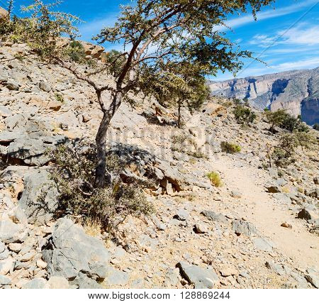 In Oman  The Old Mountain Gorge And Canyon The Deep Cloudy  Sky