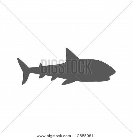 Marine predator shark design flat. Dangerous predator shark with fins and tail and sharp teeth. Aggressive fish creation of nature in black color living in the ocean or the sea. Vector illustration