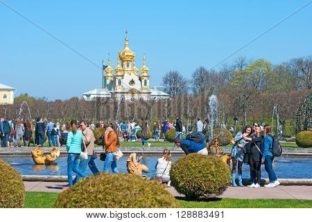 PETERHOF, SAINT-PETERSBURG, RUSSIA - MAY 8, 2016: The Upper Garden. Tourists take pictures near Mezheumniy (Indefinite) Fountain. On the background is The Palace Church of Saints Peter and Paul