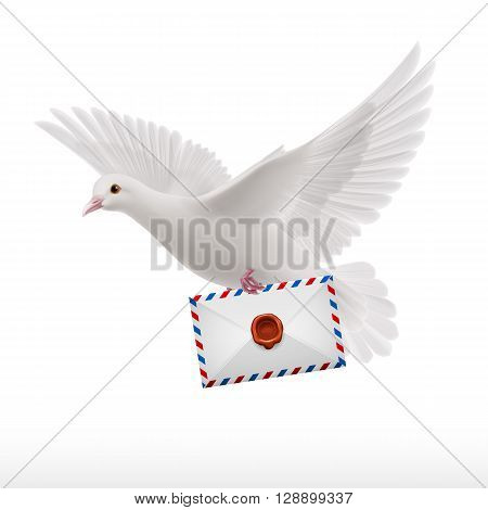 White pigeon fly with letter in beak