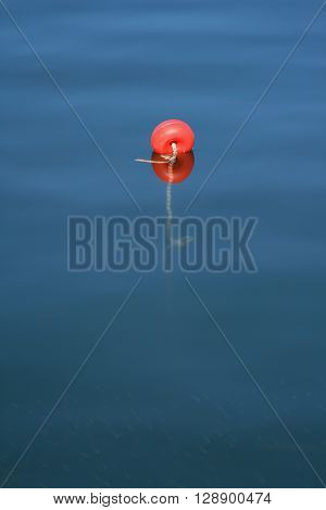 Red alone cork on the blue sea