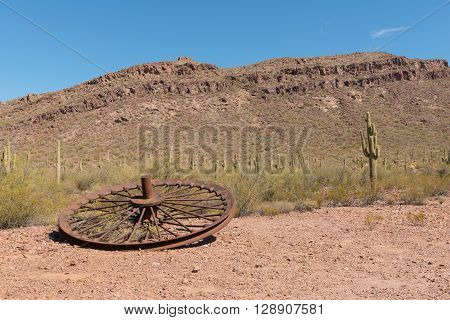 Wheel In The Desert