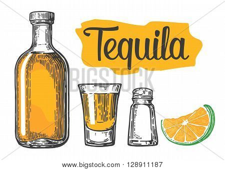 Glass and botlle of tequila. Cactus salt and lime Hand drawn sketch set of alcoholic cocktails. Vector illustration