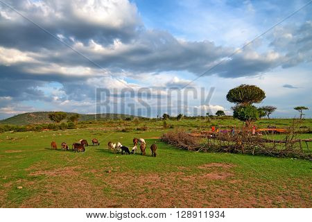 Picturesque savanna landscape with maasai village in Africa