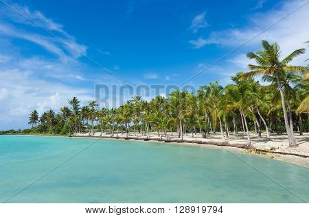 Anse Champagne beach in Saint Francois, Guadeloupe, Caribbean