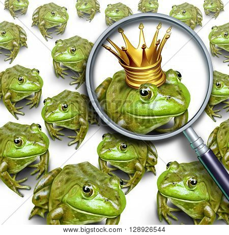 Searching for leadership or search and business recruitment concept as a group of frogs and one individual standing out with a king crown as a metaphor for the right chosen one with 3D illustration elements.