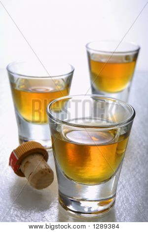 쏜된 안경에 스카치