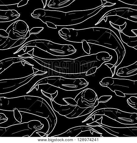 Graphic beluga whale seamless pattern. White whale. Sea creature on black background.  Vector ocean mammal