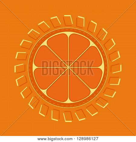 Citrus Fruits. Fruit vitamin enegry Concept. Sliced orange. Orange Enegry Concept. Organic fruit natural. Tropical citrus. Natural fruit with vitamin for juice dessert. Vector Illustration
