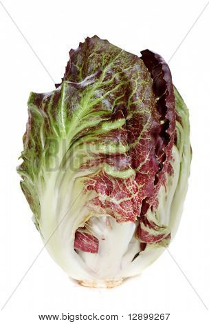 Una cabeza de radicchio