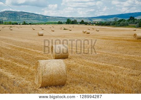 Dry rural field with hay stacks