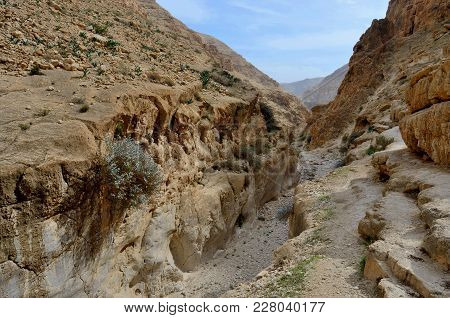 Wadi Murabba'at Canyon - Ravine Cut By A Seasonal Stream Running From Judean Desert, Israel