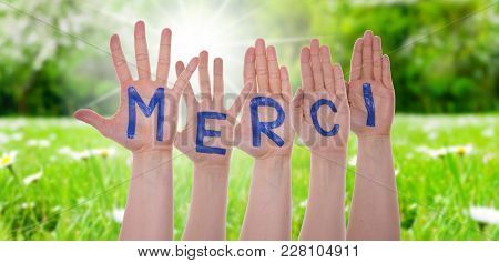 French Word Merci Means Thank You On Hands Of White Caucasian People. Sunny Grass Meadow In Backgrou