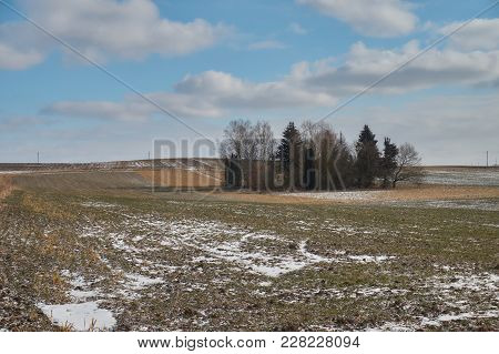 Group Of Trees On Farmyard Fields. Winter Landscape With Blue Sky And Clouds