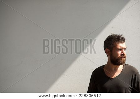 Bearded Man On Grey Wall, Barbershop. Hipster With Beard, Mustache, Unshaven Face, Hair. Barber, Bar