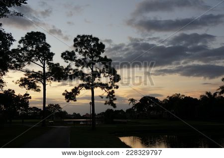 Two Trees On A River Bank At Sunset