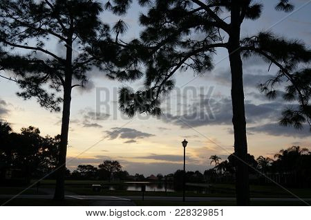 Sunset In A Neighborhood And Silhouette Trees