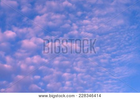 Beautiful Lilac And Pink Sky Scenpineapple, Athletes