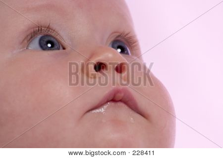 เด็กจ้อง