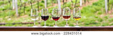 Glasses With Wine. Red, Pink, White Wine In Glasses. Set Of Glasses With Red, White And Rose Wine Ta