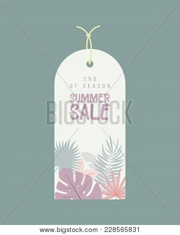 End Of Season. Summer Sale Background With Flowers, Ranunculus, Succulent, Eucalyptus. Banner, Flyer