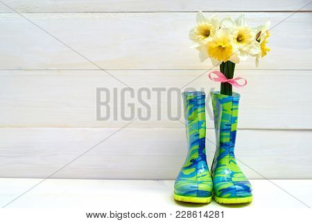 Fresh Yellow Daffodils In Rubber Boots On Wooden Background, Copy Space. Child Garden Wellington Boo