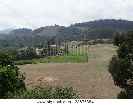 Awesome View Of Carrot Garden Near Hill ,ooty,india