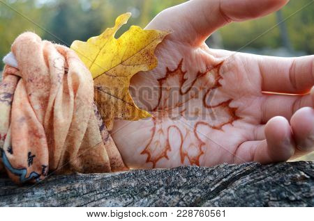 Henna Painted Leaf On Man Hand In Park