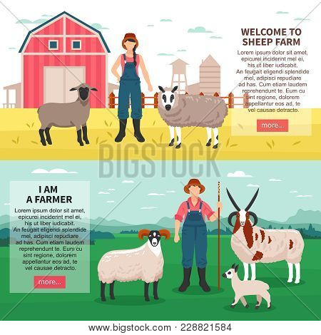 Sheep Breeding Farm 2 Flat Horizontal Banners Webpage With Ram Ewes Farmers Introduction Text Isolat