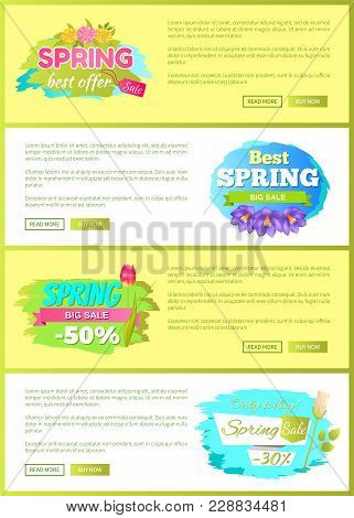 Super Spring Big Sale Advertisement Labels Set Crocus C Purple Flowers With Tulips, Daisies And Rose