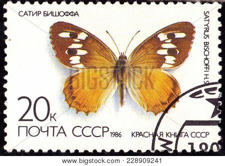 Ussr - Circa 1986: A Stamp Printed In The Ussr Shows A Butterfly - 