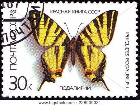 Ussr - Circa 1987: A Stamp Printed In The Ussr Shows A Butterfly - 