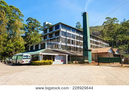 Tea Factory In Nuwara Eliya, Sri Lanka. Nuwara Eliya Is The Most Important Territory For Tea Product