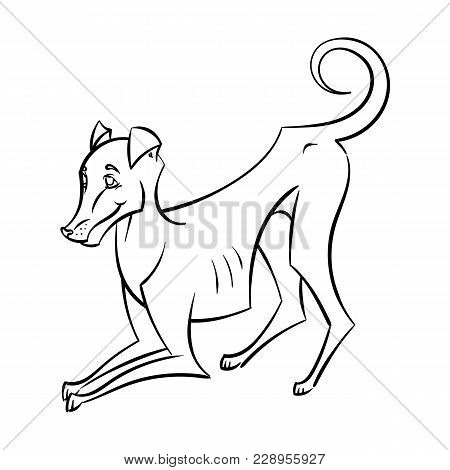 Yellow Dog For New Year 2018, Cute Symbol Of Horoscope. Cute Puppy In Cartoon Doodle Style. Vector I