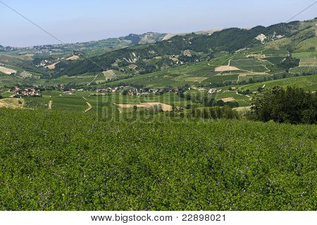 Paesaggio In The Oltrepo Pavese (Italia)